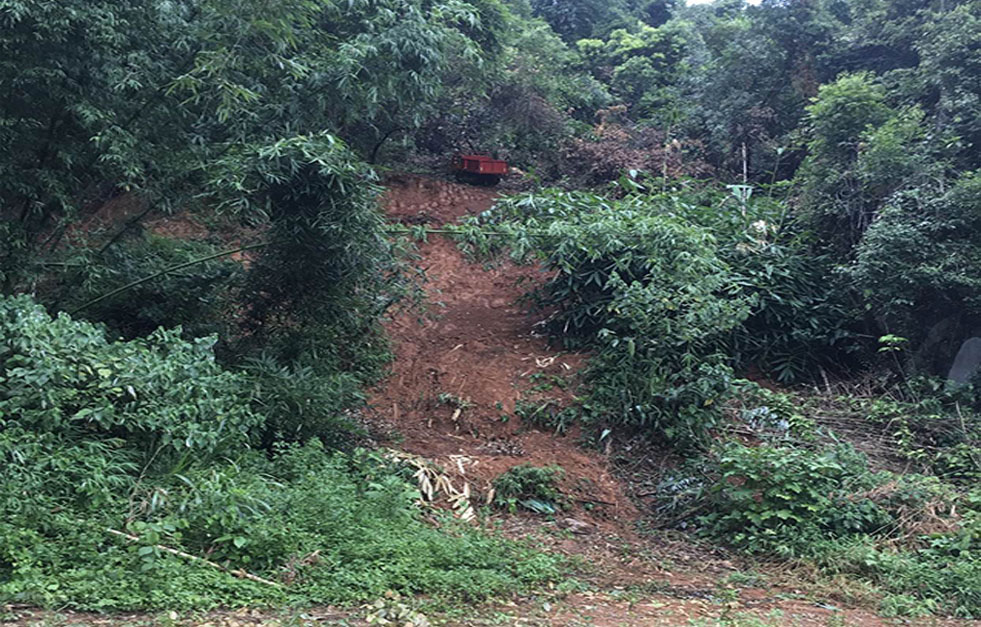 手拉葫芦助力车子上山拉木材